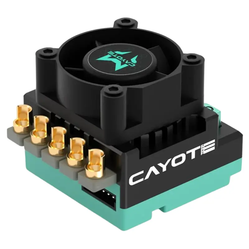 Cayote Crest Rs80 Sensored Brushless Esc Ca-Cyea11003 1